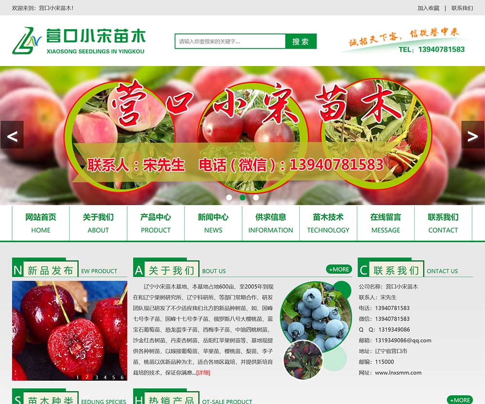 營口小宋苗木