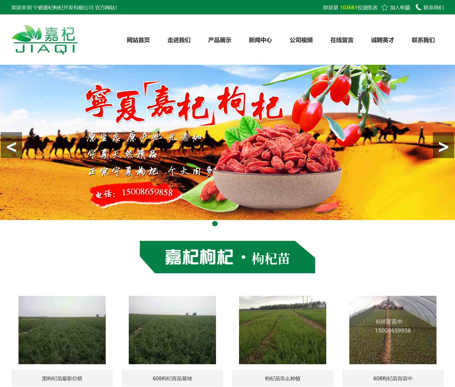 寧夏嘉杞枸杞開(kāi)發(fā)有限公司