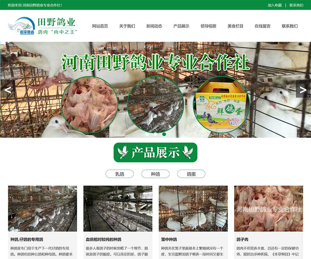 河南田野鴿業(yè)專業(yè)合作社