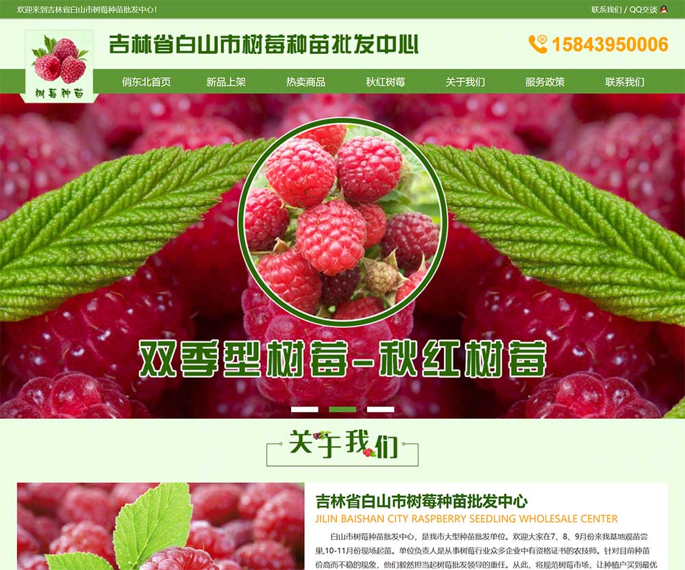 吉林省白山市樹莓種苗批發(fā)中心