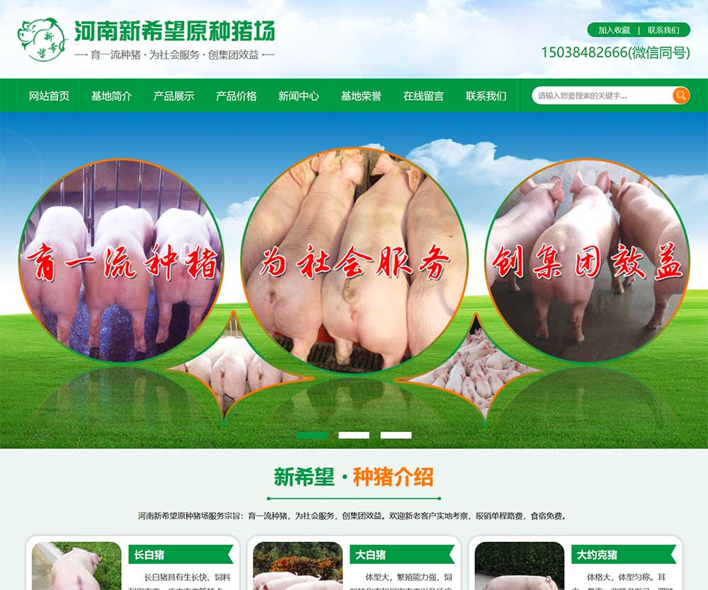 河南新希望牧業(yè)有限公司