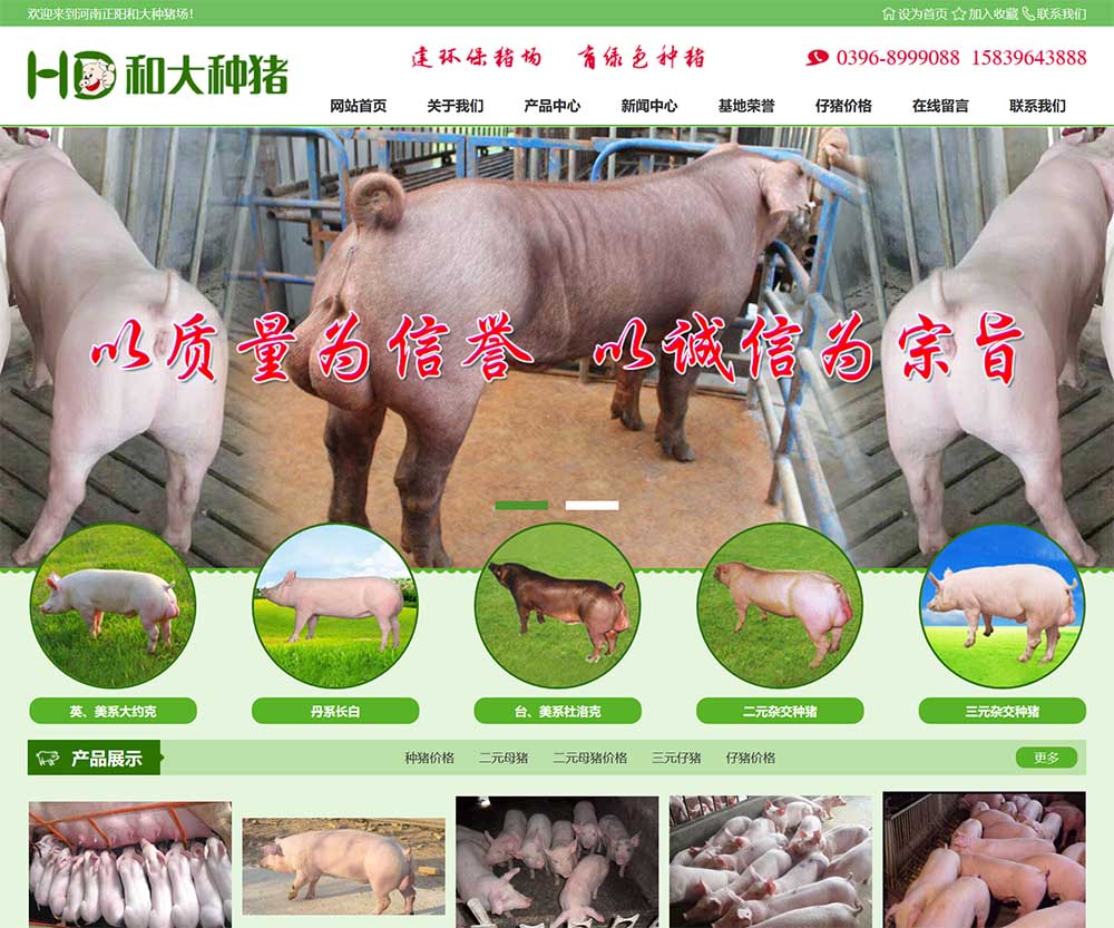 河南正陽和大種豬場